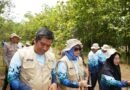 BPKH Dorong Wakaf Produktif Lewat Program Penghijauan di Gunung Kidul