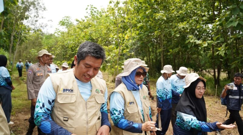 BPKH Dorong Wakaf Produktif Lewat Program Penghijauan di Gunung Kidul